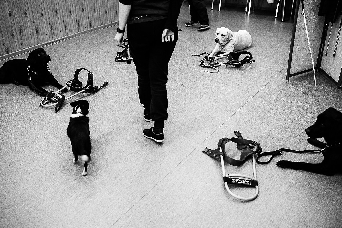 Больше, чем проводник. Промышленная и репортажная фотография