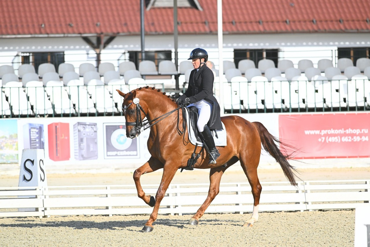 Отзывы. ТУРНИРНАЯ КОННАЯ ФОТОГРАФИЯ, Руднева Ольга и Евгений Адеев