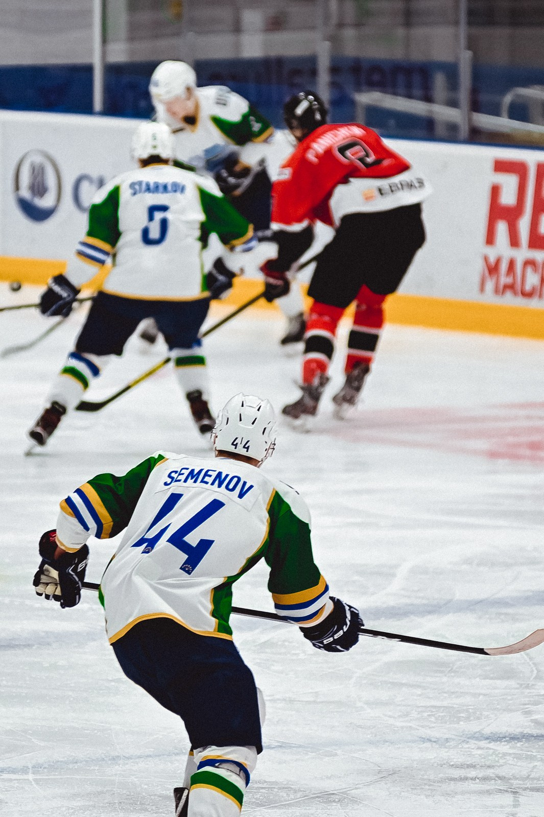 Медведи-Толпар. ProfotoNK