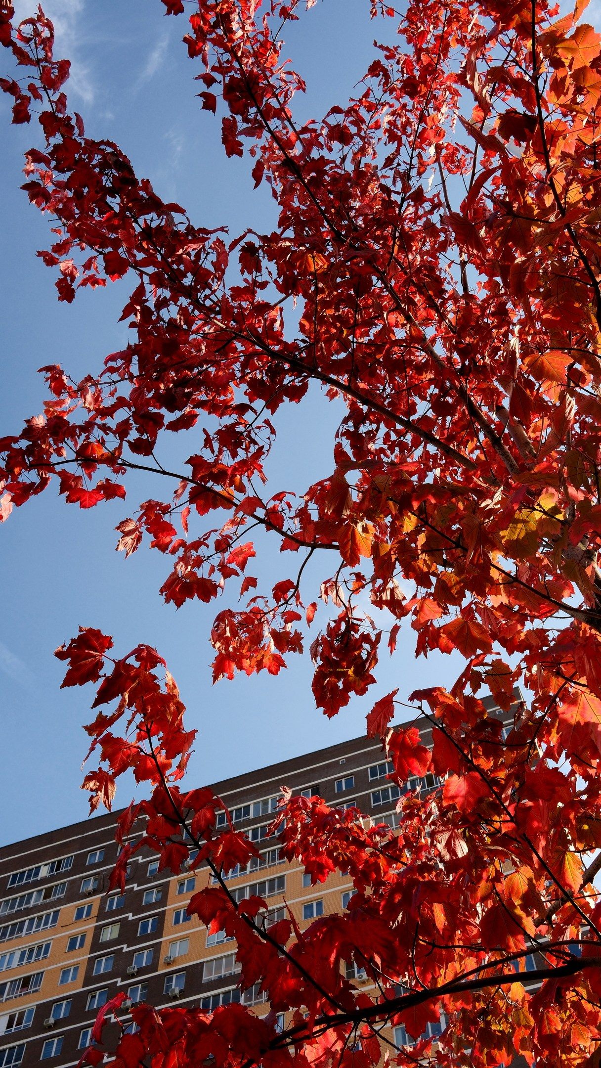 Улица, люди, жизнь…