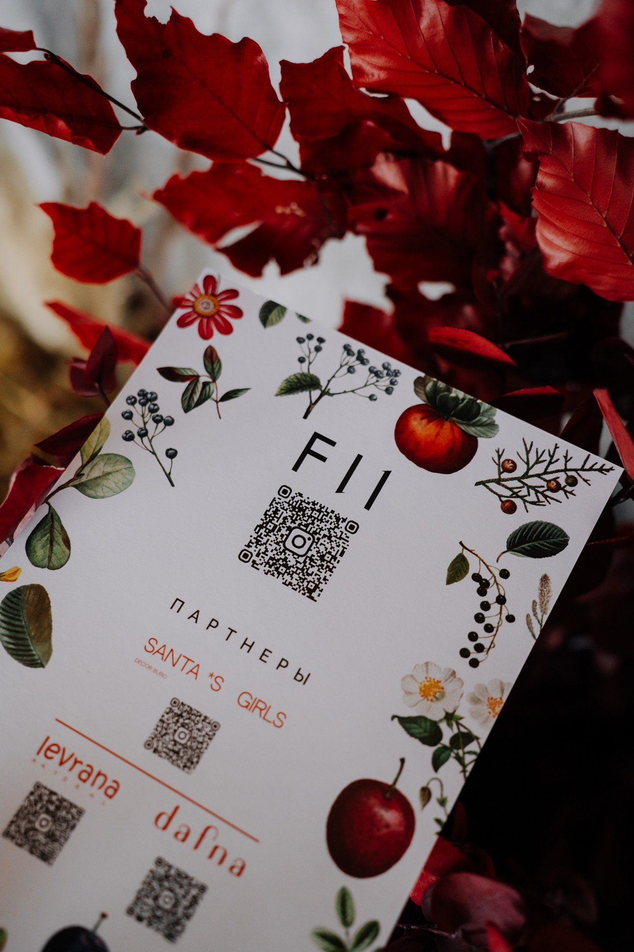 ОСЕННИЙ БРАНЧ в F11. Night2Day Санкт-Петербург