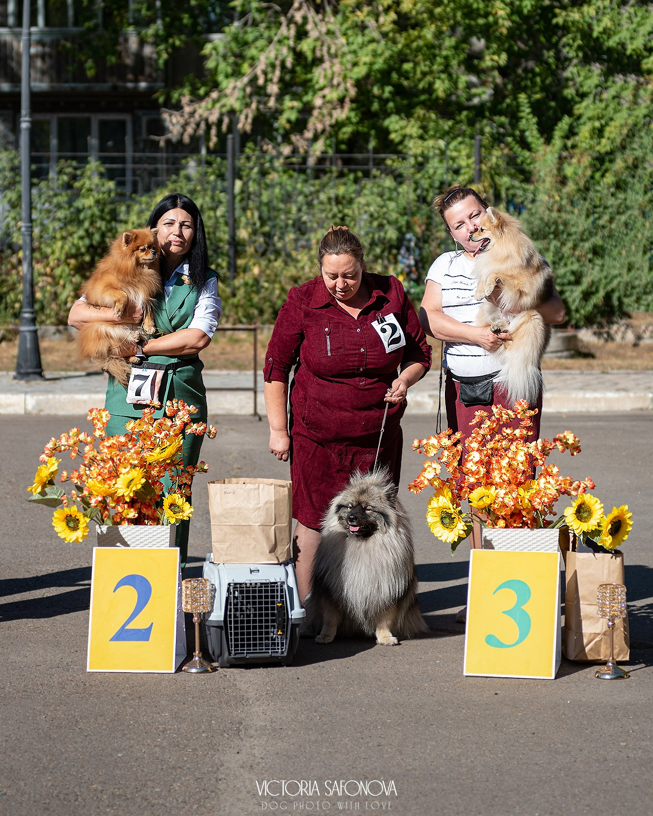15 сентября 2024. Благовещенск. Монопородная выставка шпицев. Фотограф анималист Благовещенск. Сафонова Виктория
