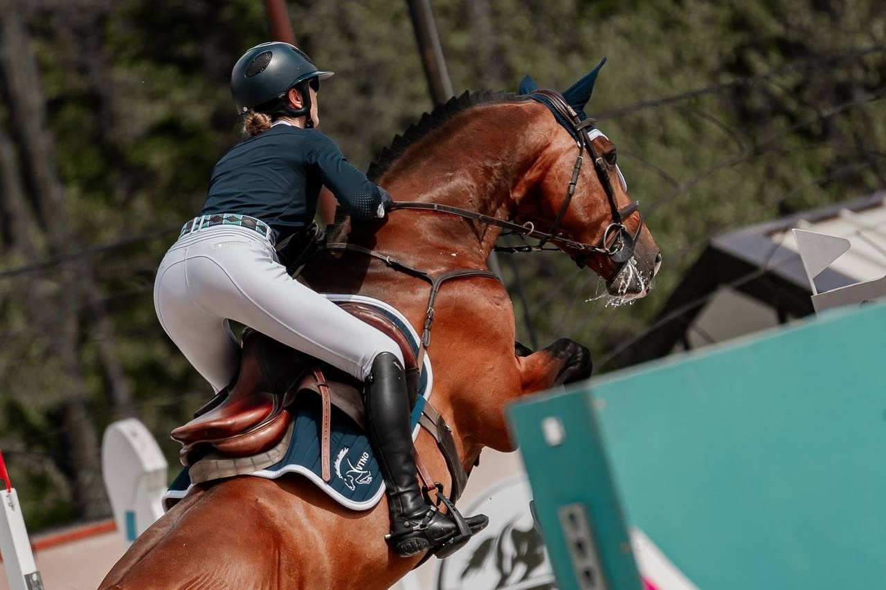 ЛЮБИТЕЛЬСКИЙ КУБОК ВИЦЕ-ПРЕЗИДЕНТА ФКСР О.В.РЕЙМАН. Куракина Дарья • Конный фотограф