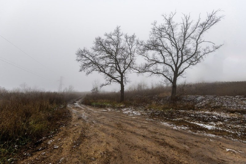 Шерман Владислав. Фотообъединение Самарского областного отделения Союза журналистов России
