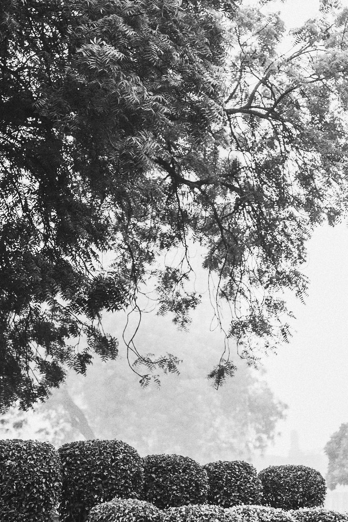 Путешествия. Балетный фотограф в Москве Евгения Сухарева