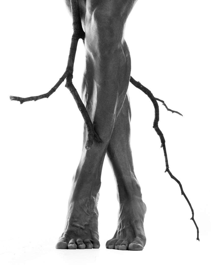 Природа и человек, академическая фотография, чб, ноги, эстетика тела, ветки