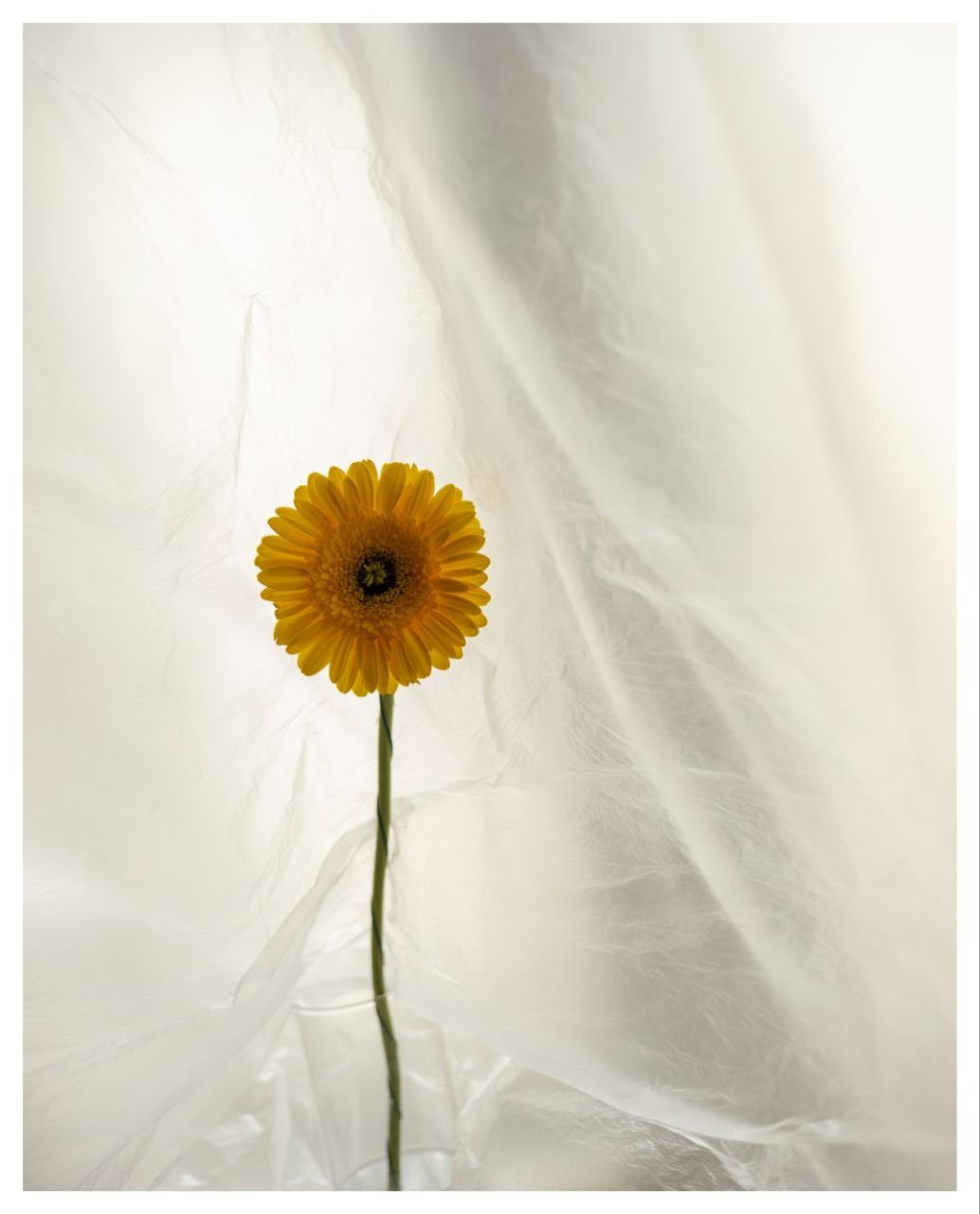 Бесчеловечно. натюрморт. пейзаж. Мастерская Демченко