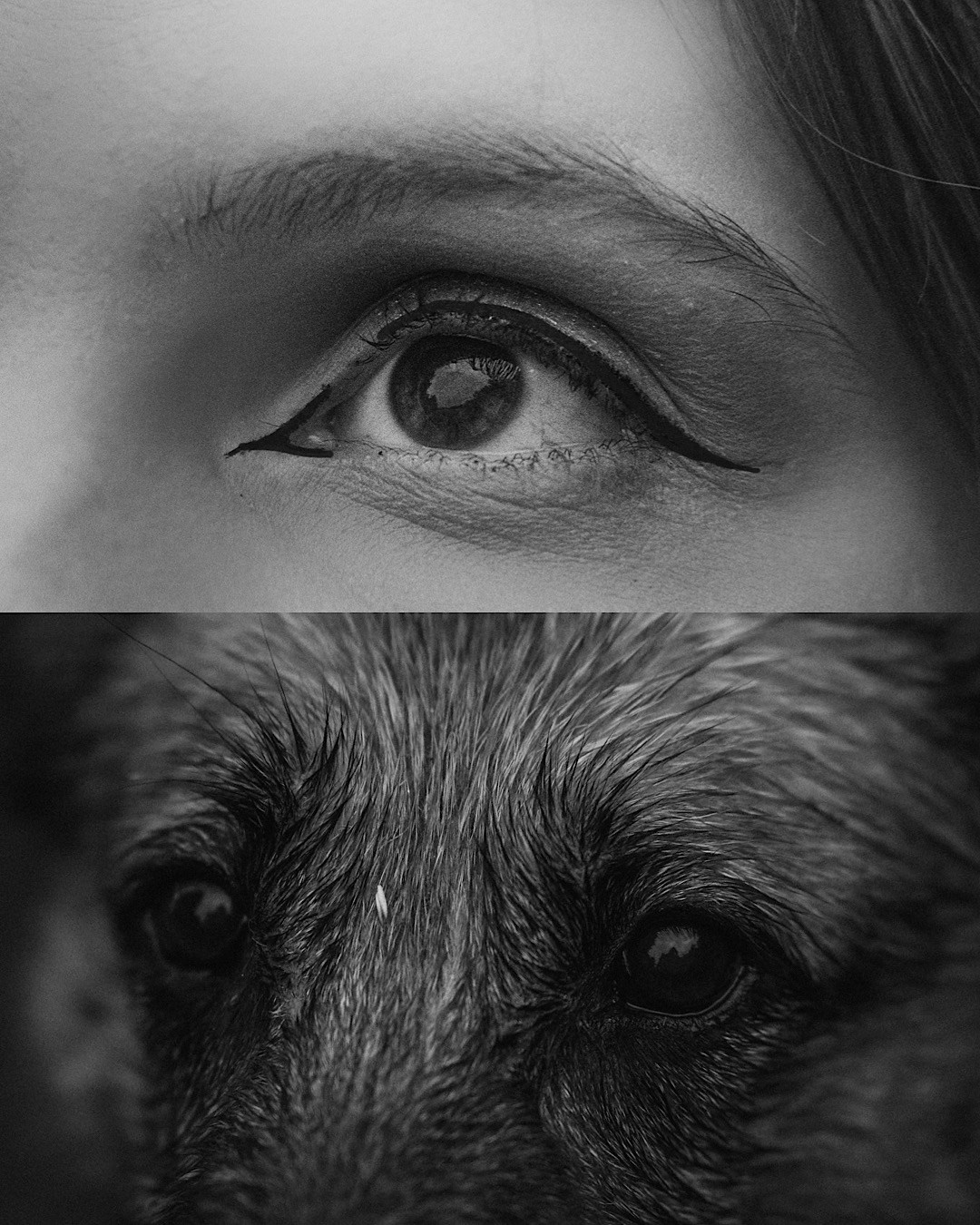 Вика и Фрея. Фотограф анималист в Москве и Санкт-Петербурге Свиридова Анна