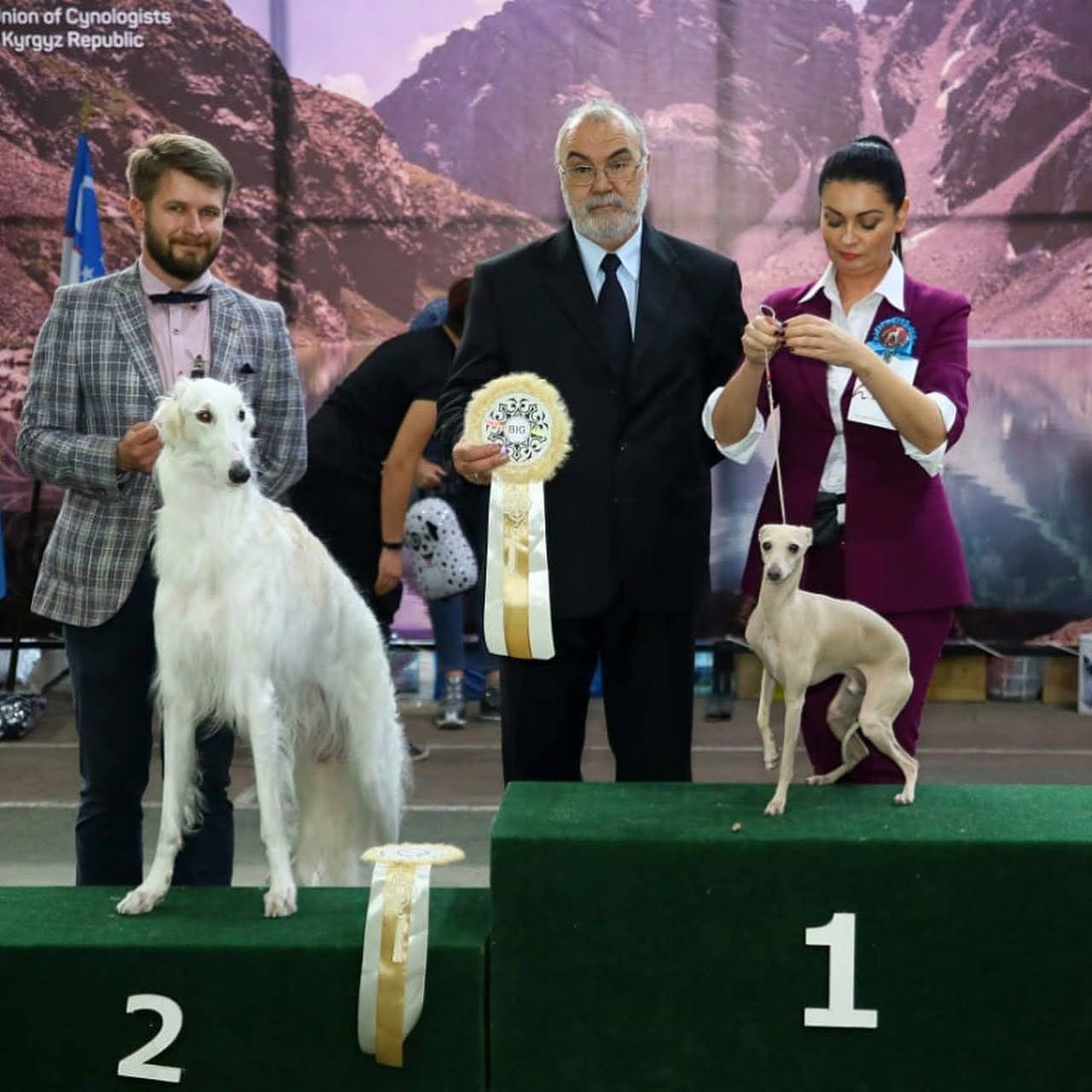 Выпускники ЧЕМПИОНЫ. Профессиональный питомник левреток РКФ/FCI ASTI SAPPHIRE 💎 Сочи|Санкт-Петербург