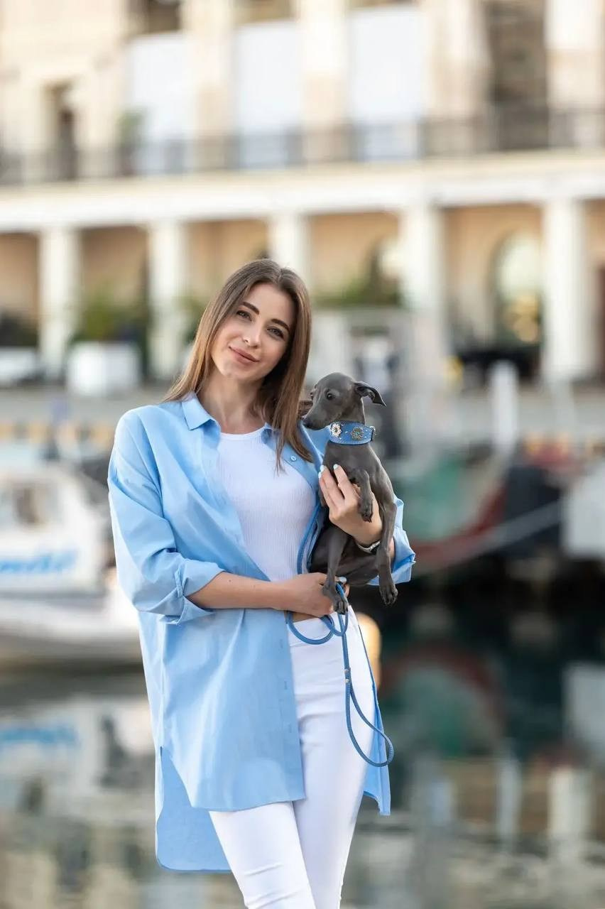 Asti Sapphire Eveline Fler-De-Lys. Профессиональный питомник левреток РКФ/FCI ASTI SAPPHIRE 💎 Сочи|Санкт-Петербург