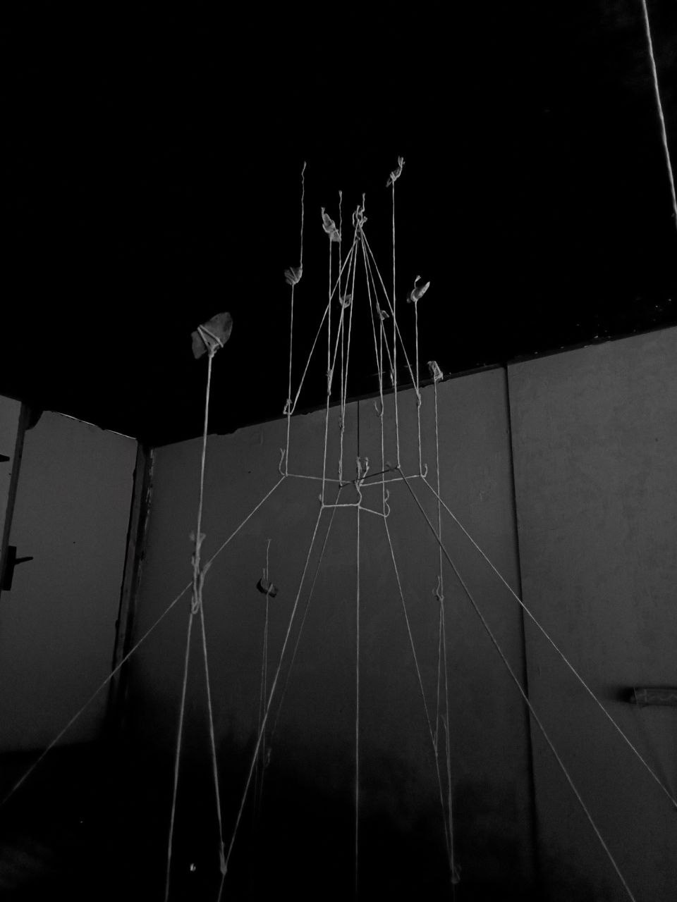 Язык птиц. Данил Андреев, мультидисциплинарный художник, Санкт-Петербург