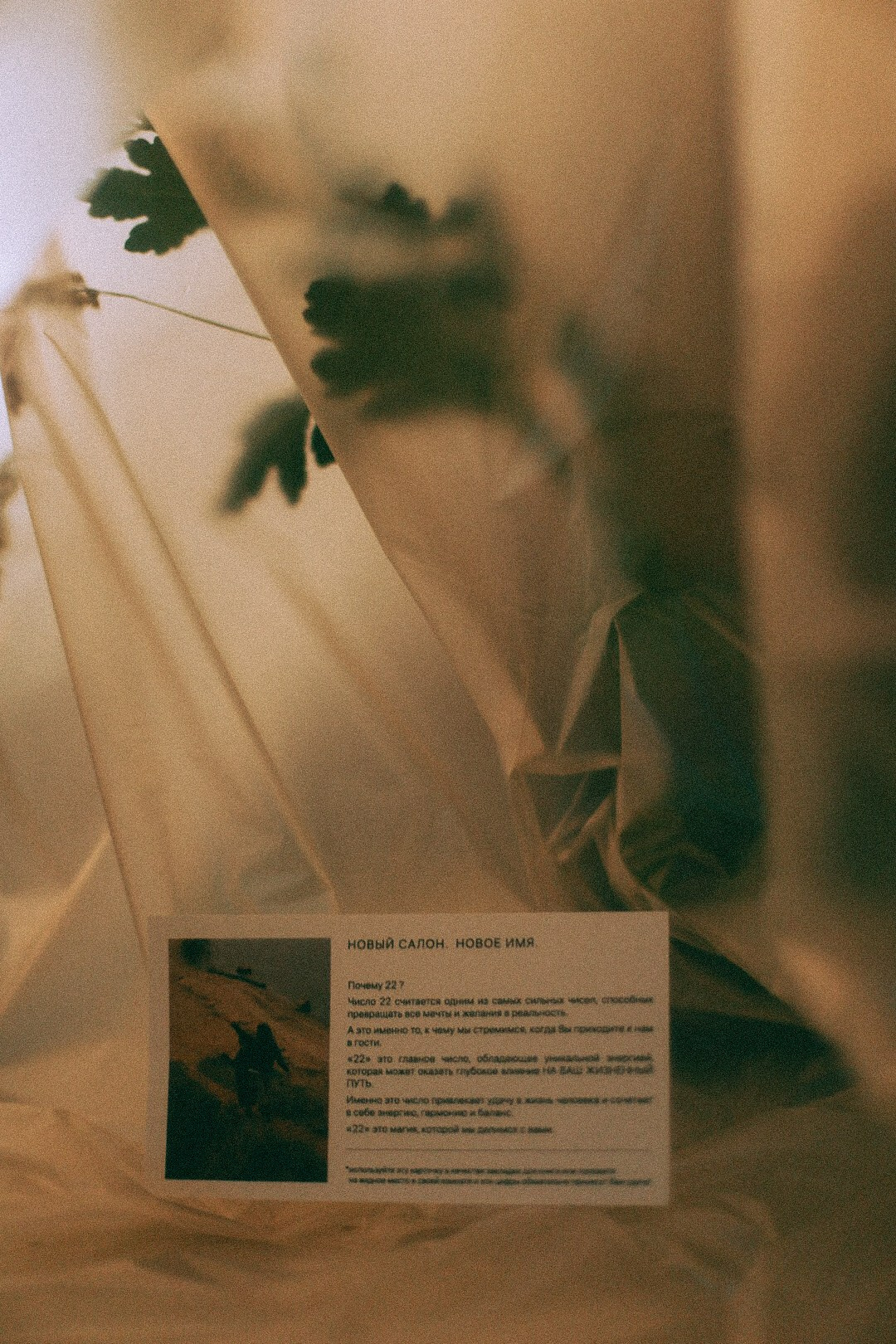 22 лето. Фотограф Нижний Новгород