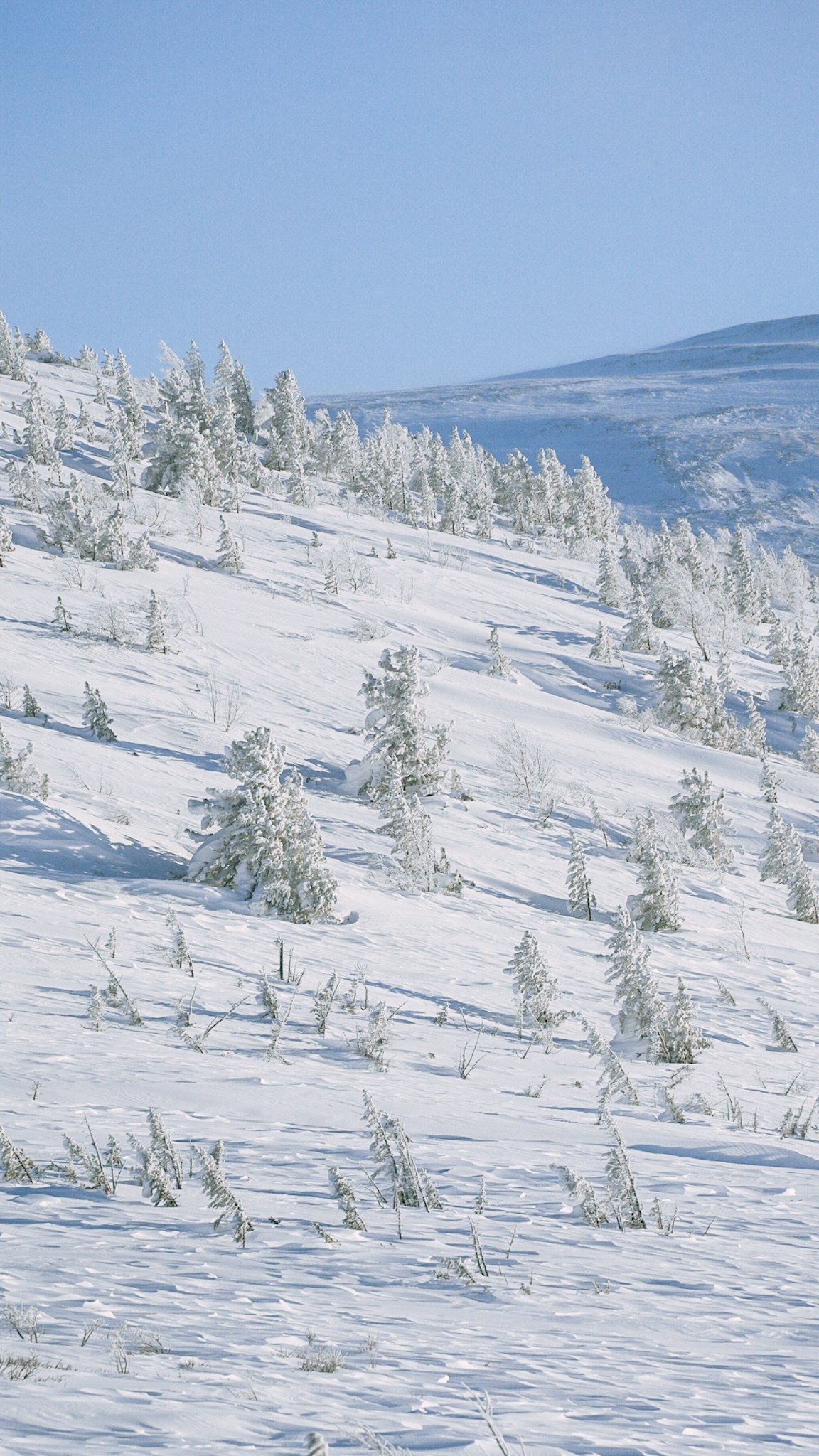 Приисковое. Человек с фотокамерой