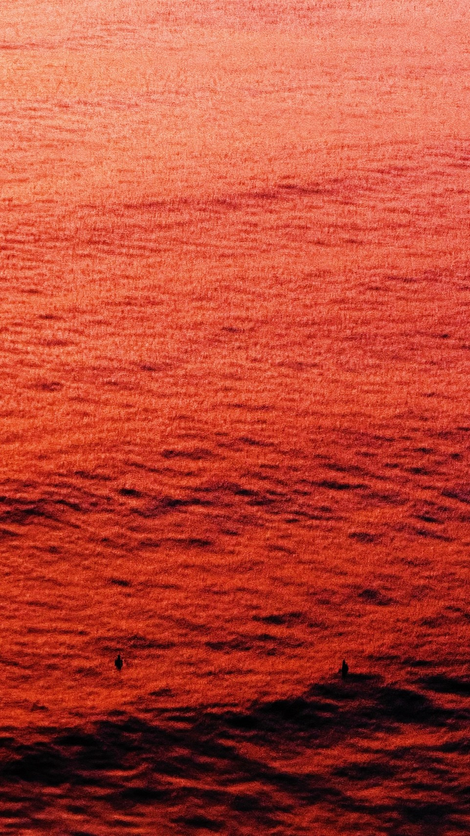 With open eyes. Carolinetru