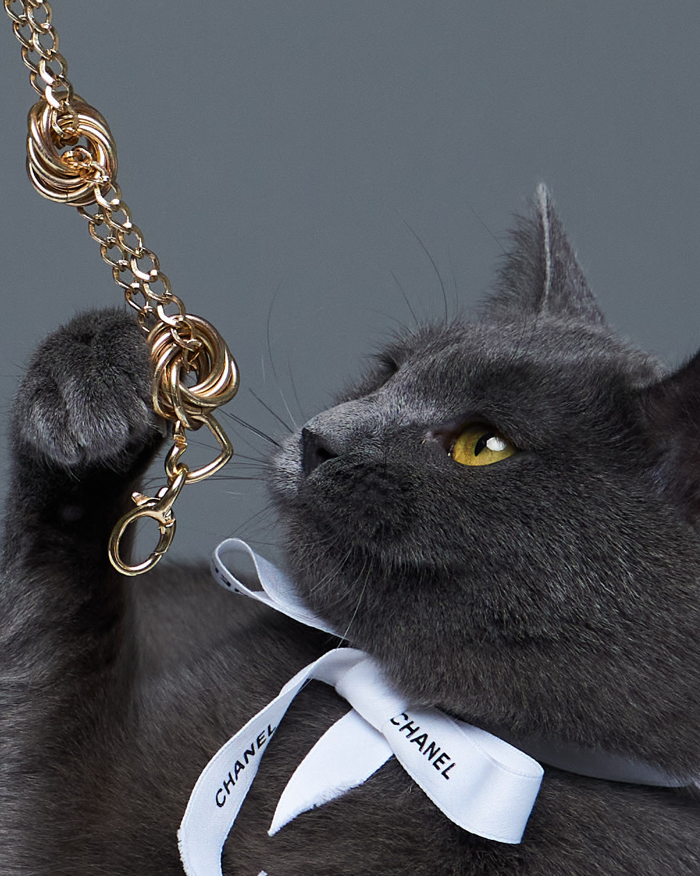 Cats. Фотограф для брендов одежды в Москве Diana Polupanenko