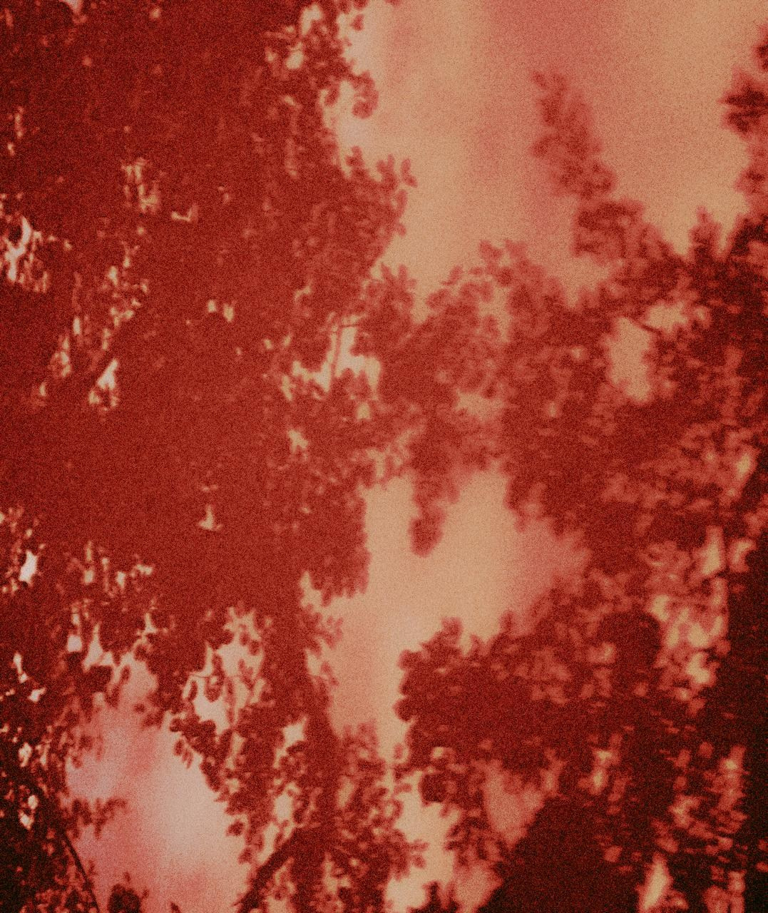 RANDOM. Nik Paustovskiy photography