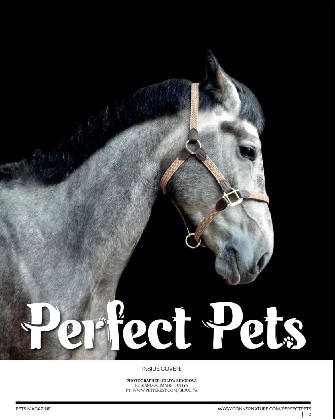 Публикации. Фотограф анималист