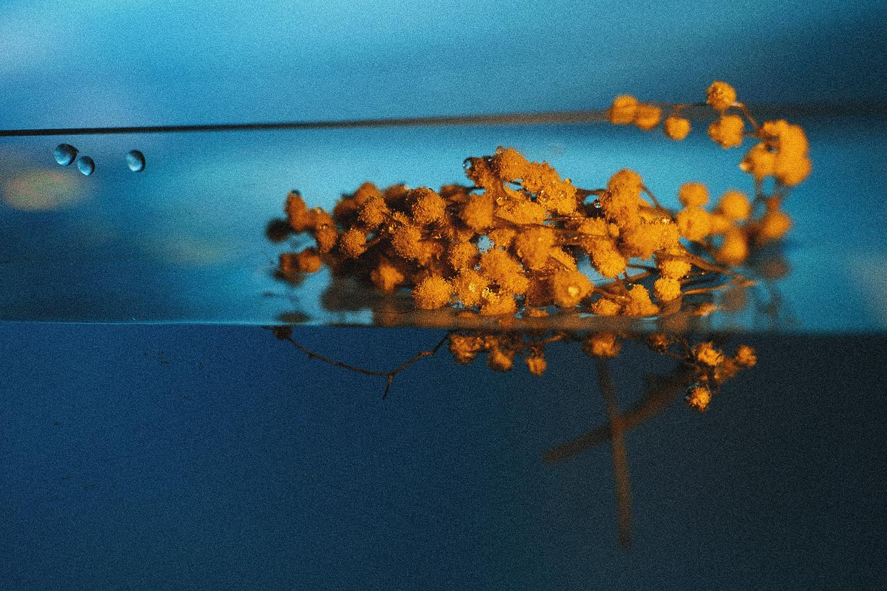 Даша. Семейный и портретный фотограф в г. Орск Алишер Азимов