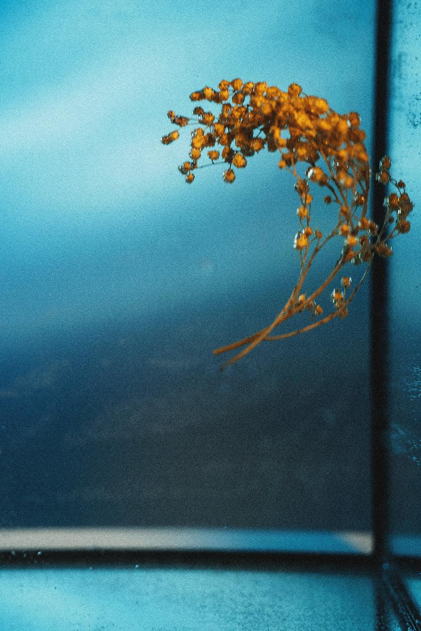 Даша. Семейный и портретный фотограф в г. Орск Алишер Азимов