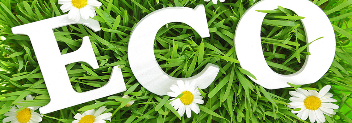 Электронный каталог продукции Greenway — Партнерский сайт ecodreamway