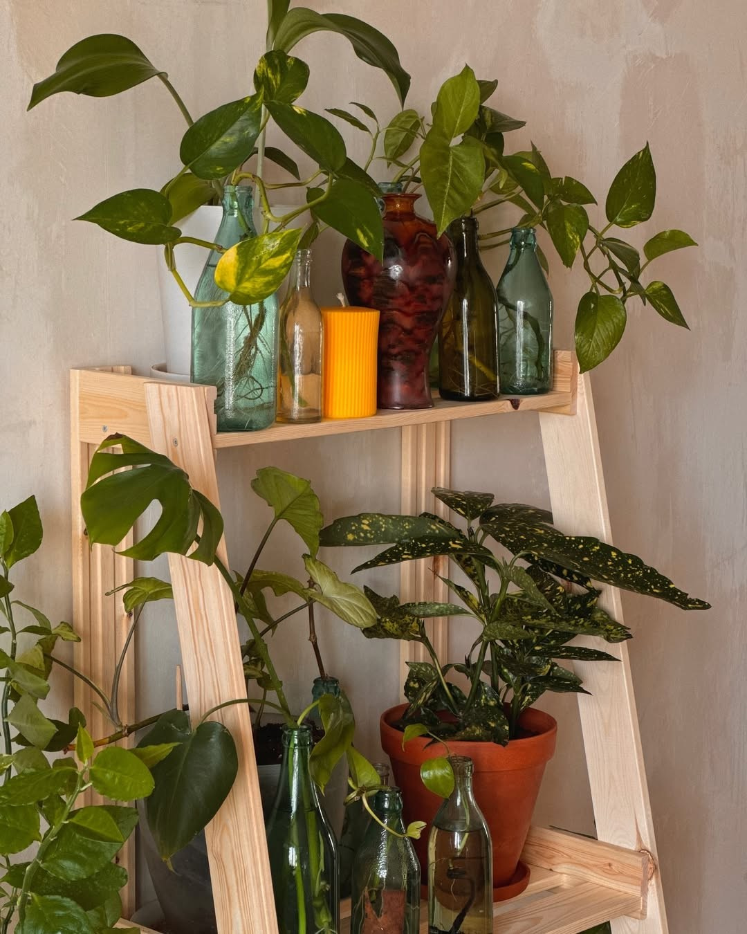 Квартира на Соборном «Soborniy.flat». Свадебный фотограф в Ростове Александра Груздева