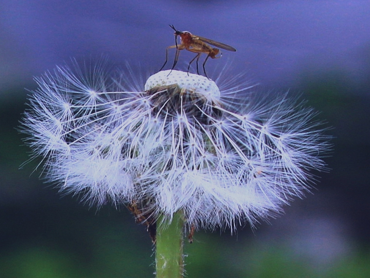 Макро. Обо всём