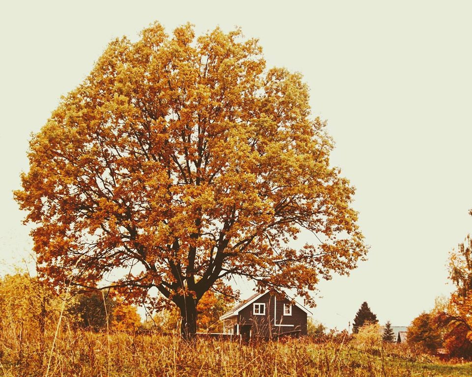 Природное. Обо всём