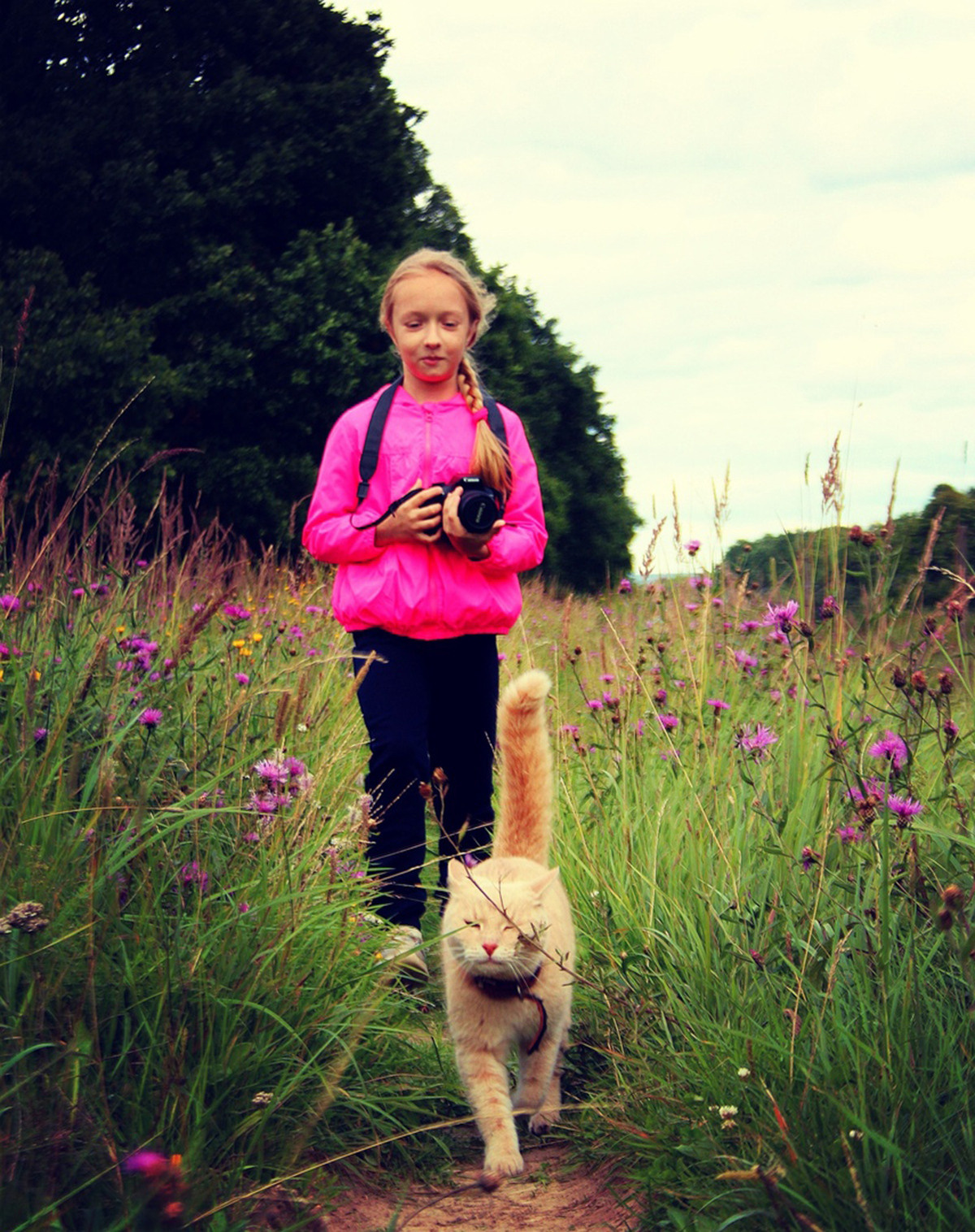 Дружба. Обо всём