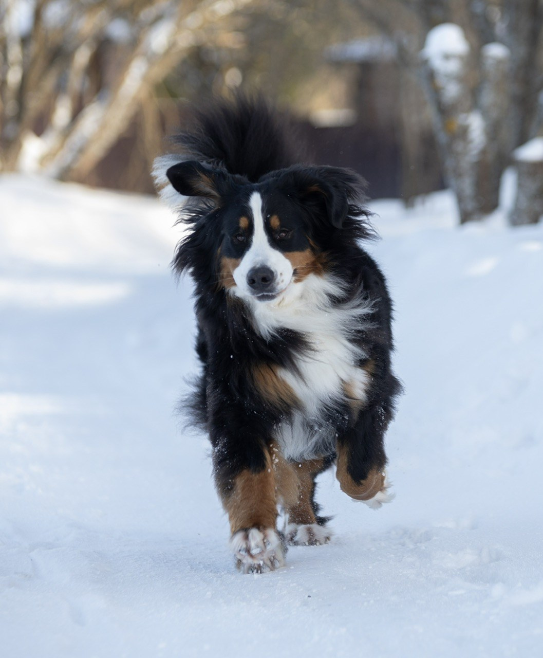 Отзывы. Фотограф Анастасия Ветковская, Москва
