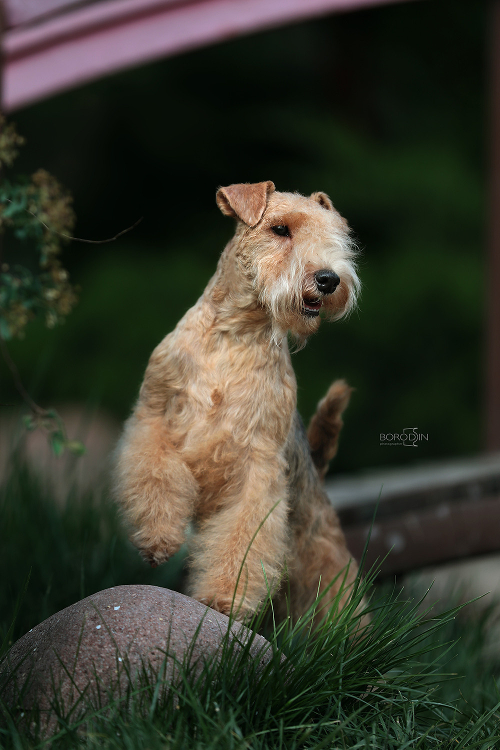 15.04.2023 IDS Uzbekistan. Ph Dmitrii Borodin