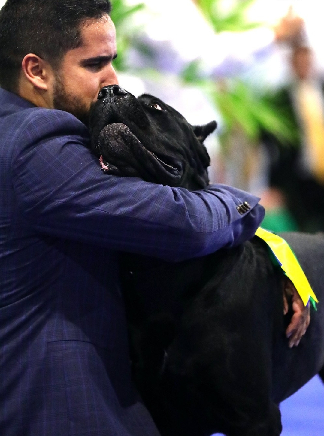 Отзывы. Фотограф Дмитрий Бородин