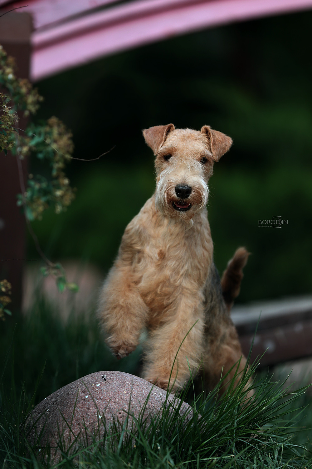 15.04.2023 IDS Uzbekistan. Ph Dmitrii Borodin