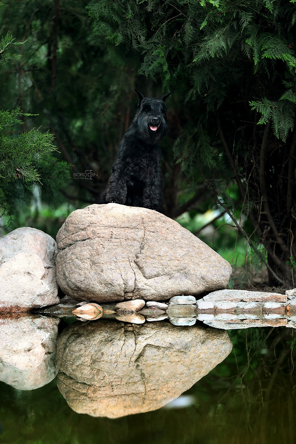 15.04.2023 IDS Uzbekistan. Ph Dmitrii Borodin