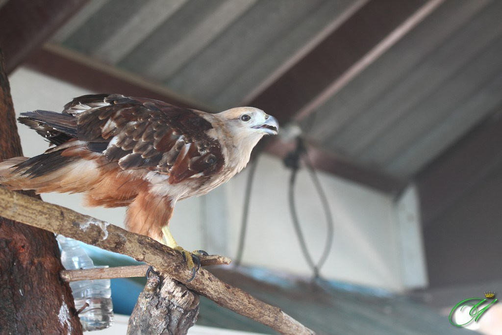 Тайланд. Пхукет 2013. Улица, люди, жизнь…