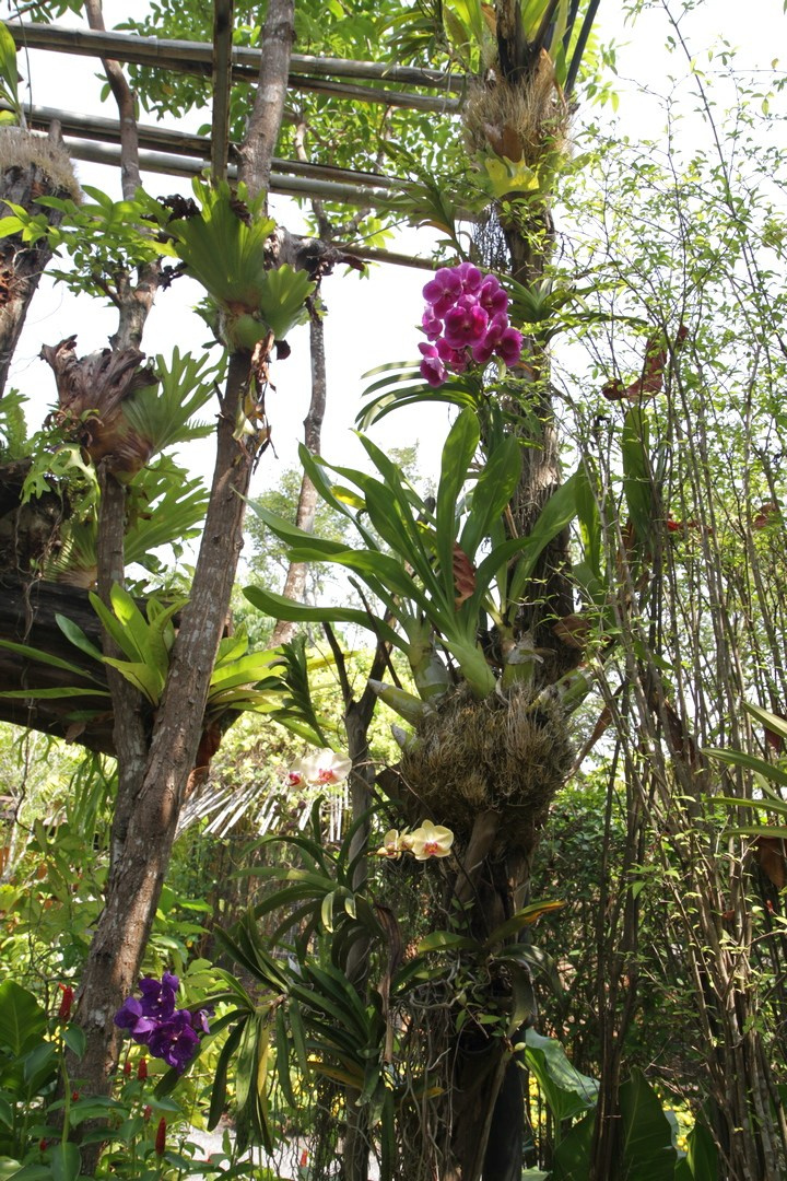 Тайланд 2014 г. Улица, люди, жизнь…