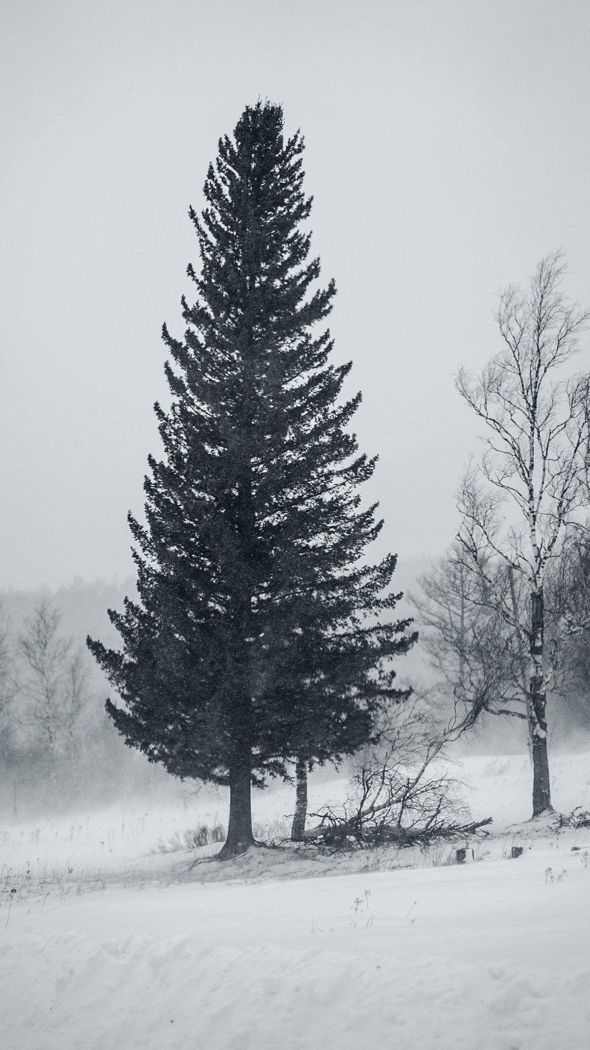 Приисковое. Человек с фотокамерой