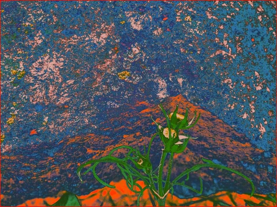 Malamoonki. Катерина Малама арт-фотограф