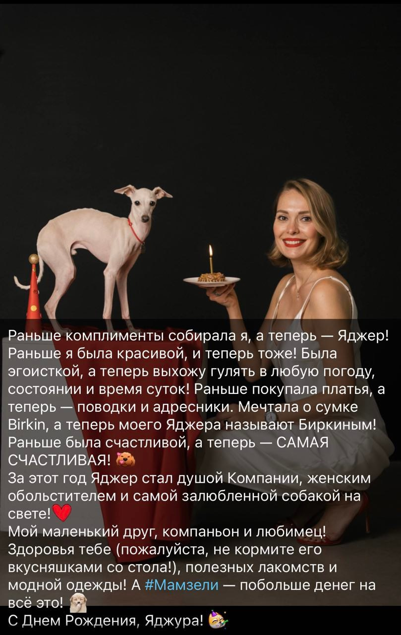 Празднуем дни Рождения. Профессиональный питомник левреток РКФ/FCI ASTI SAPPHIRE 💎 Сочи|Санкт-Петербург