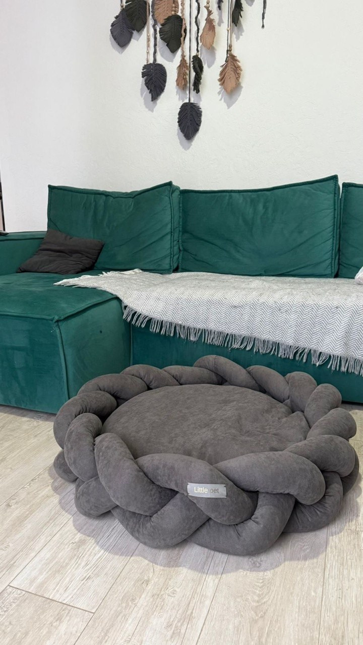 Сон и отдых. Профессиональный питомник левреток РКФ/FCI ASTI SAPPHIRE 💎 Сочи|Санкт-Петербург