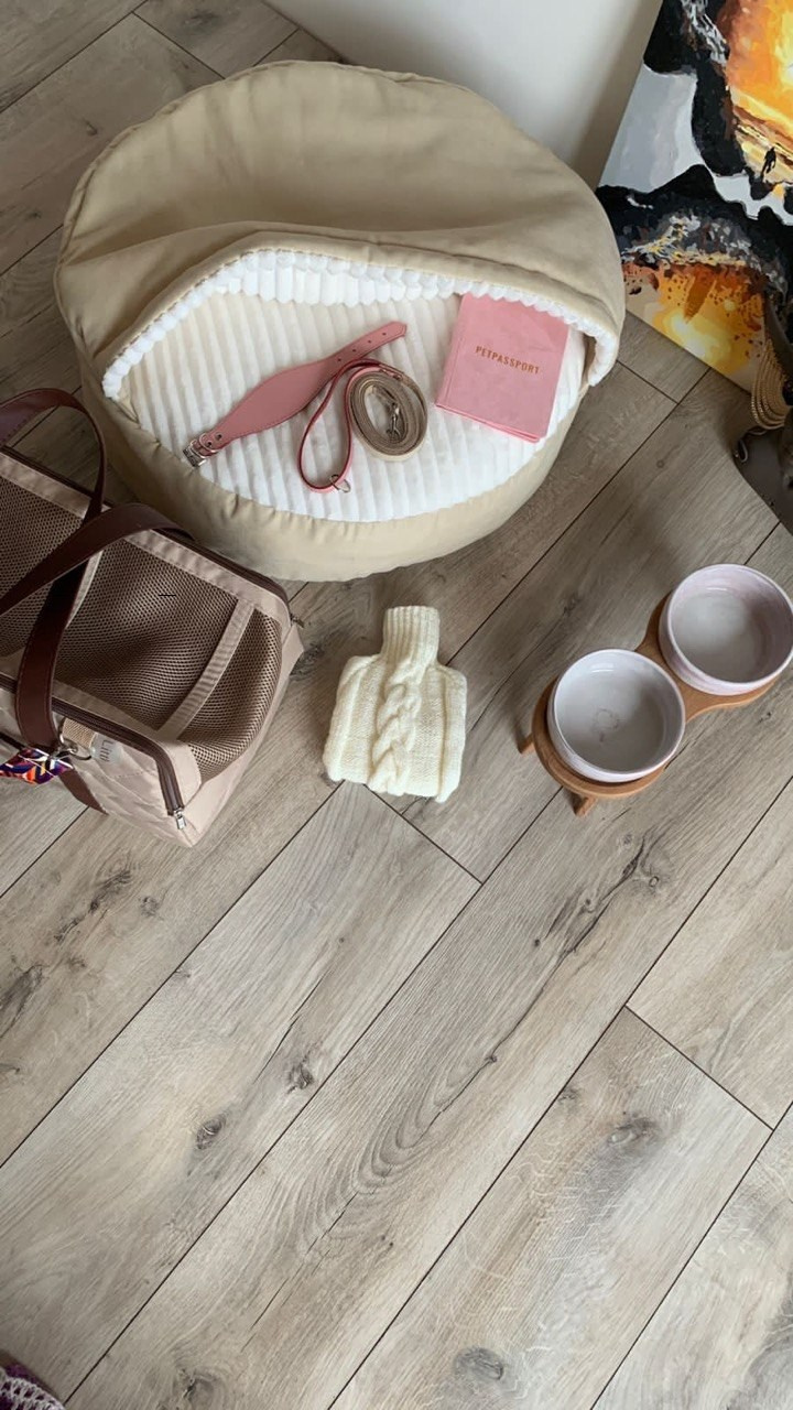 Сон и отдых. Профессиональный питомник левреток РКФ/FCI ASTI SAPPHIRE 💎 Сочи|Санкт-Петербург