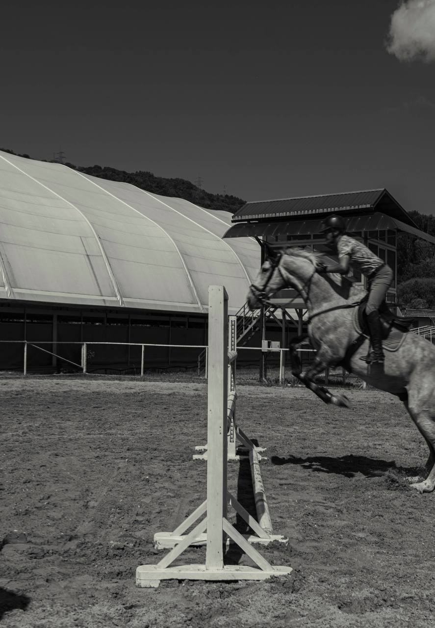 Фотосессия на конюшне в Сочи. Портфолио фотографа Анастасии Блохиной