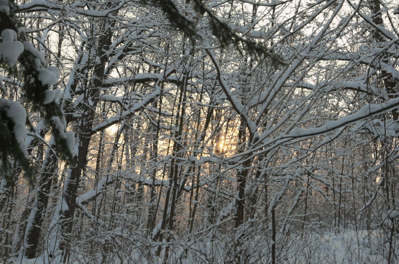 Быково и Гжель | 24.01.2016. Галерея Фантим