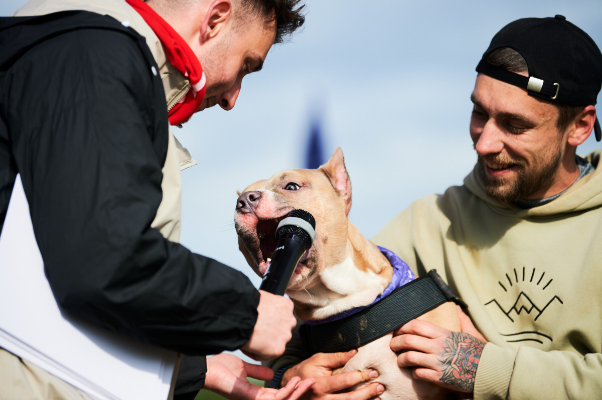 Live / music festivals. ≫ Nikita Tsarev ≫ Sports and event photographer