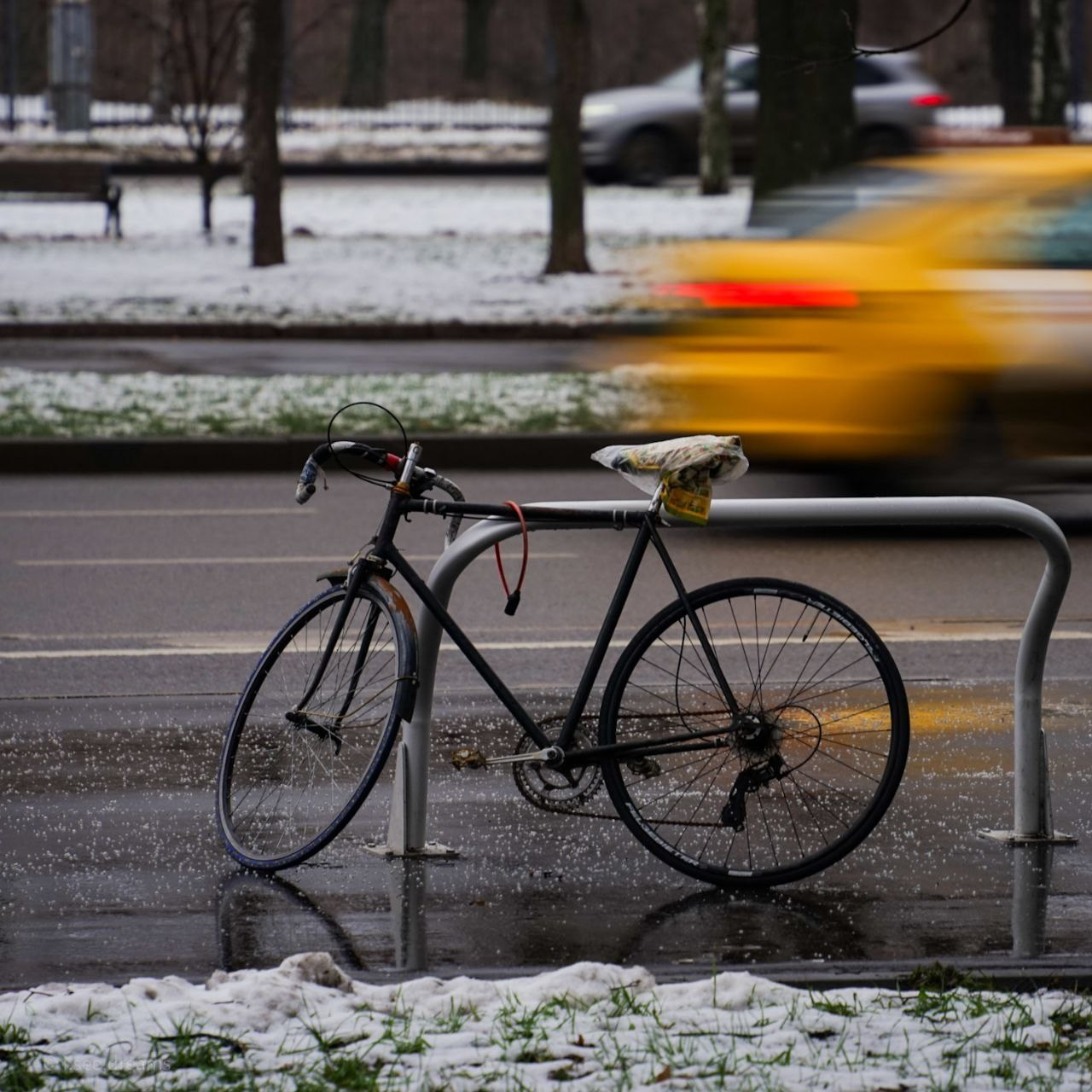 30.11.2024 // Фотоэкскурсия по Воробьевым горам с your_guide_msk. Фотовыставки serebro.gallery, в которых автором можешь стать ты! | Москва