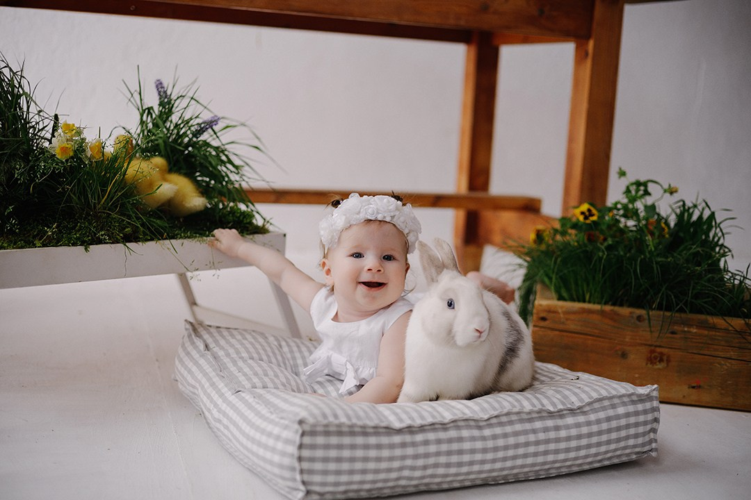 УТЯТА ПАСХА. Самые яркие съемки в туапсе с живыми утятами. Фотограф новорожденных и семей Туапсе Краснодарский край Анна Альтман