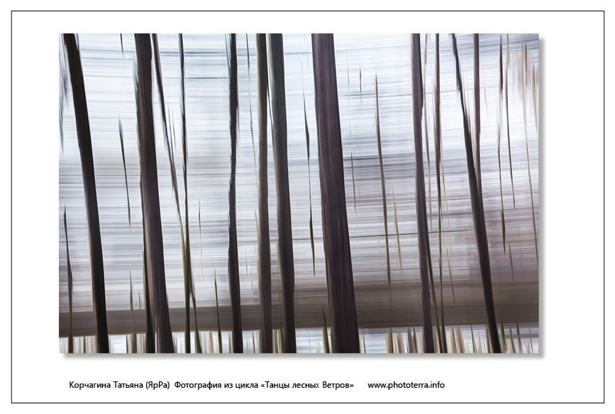 Арт & поэзия. Татьяна Корчагина. Фотограф, художник. Обучение фотографии