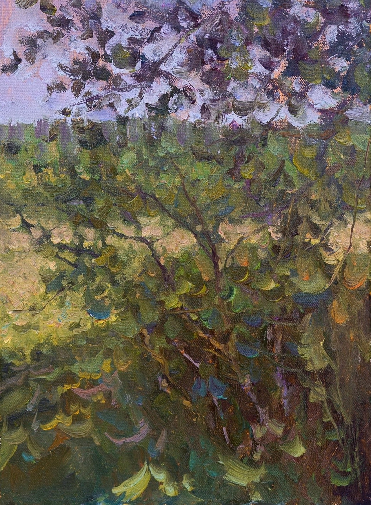 В тени. Художник Александр Каверин