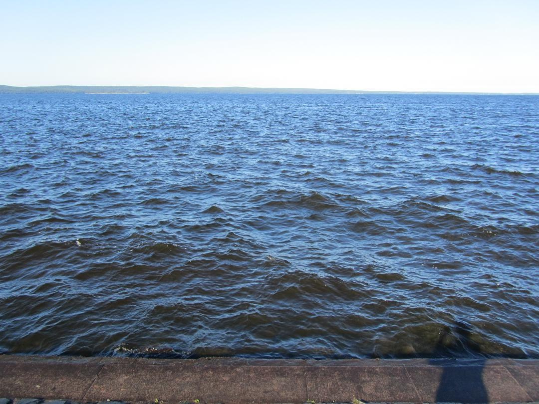 Петрозаводск. Блог Бурёшкина