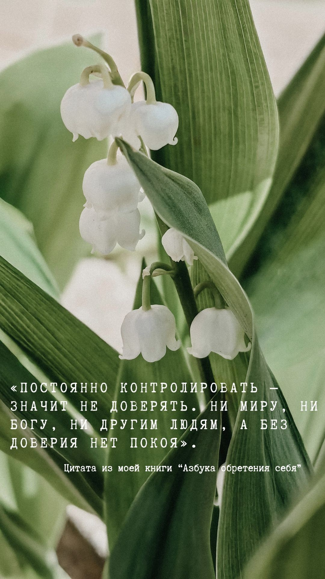 О главном. Творческая Таты Пахомовой