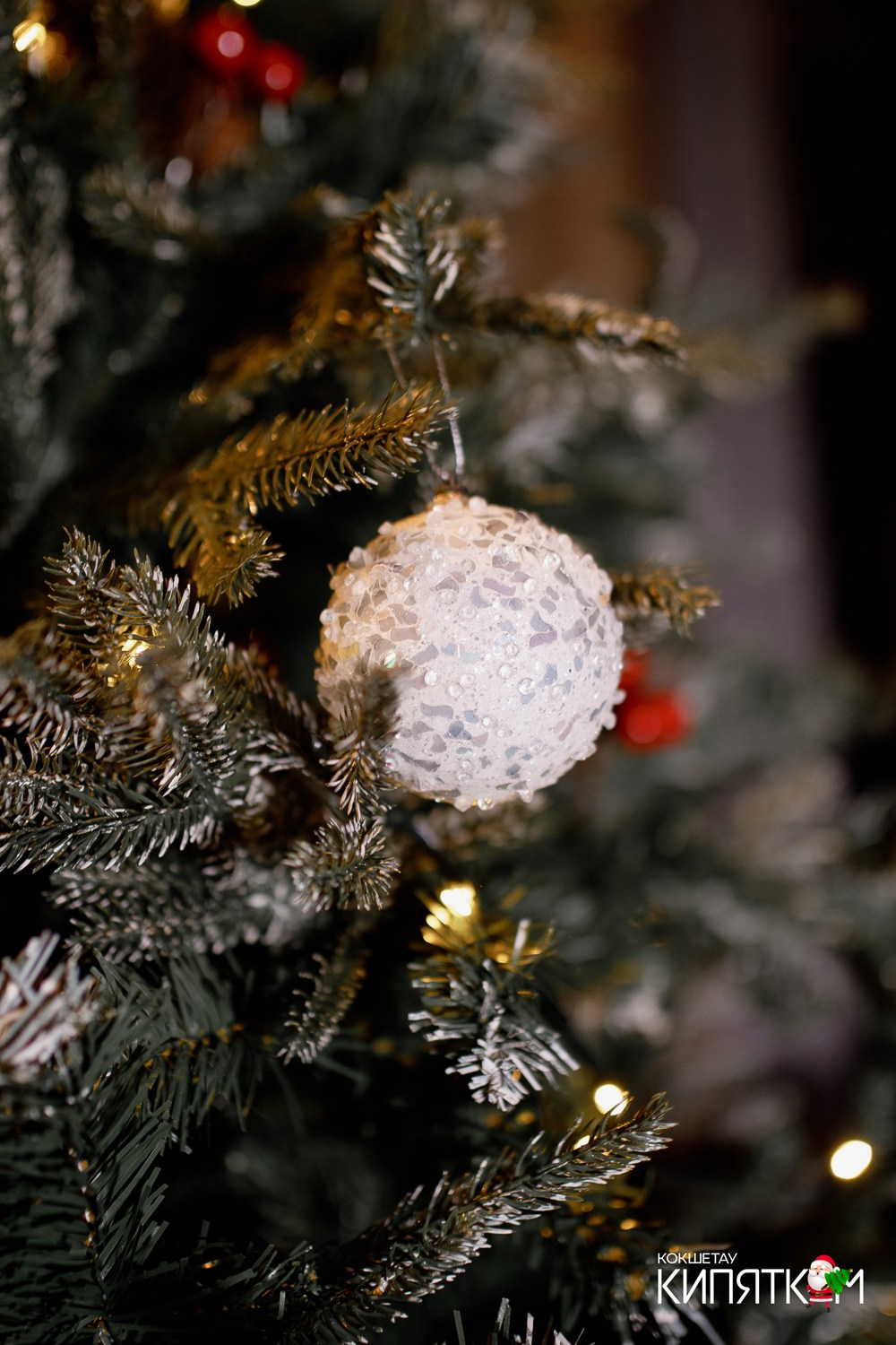 ШАШЛЫЧНЫЙ ДВОР. КИПЯТКОМ КОКШЕТАУ